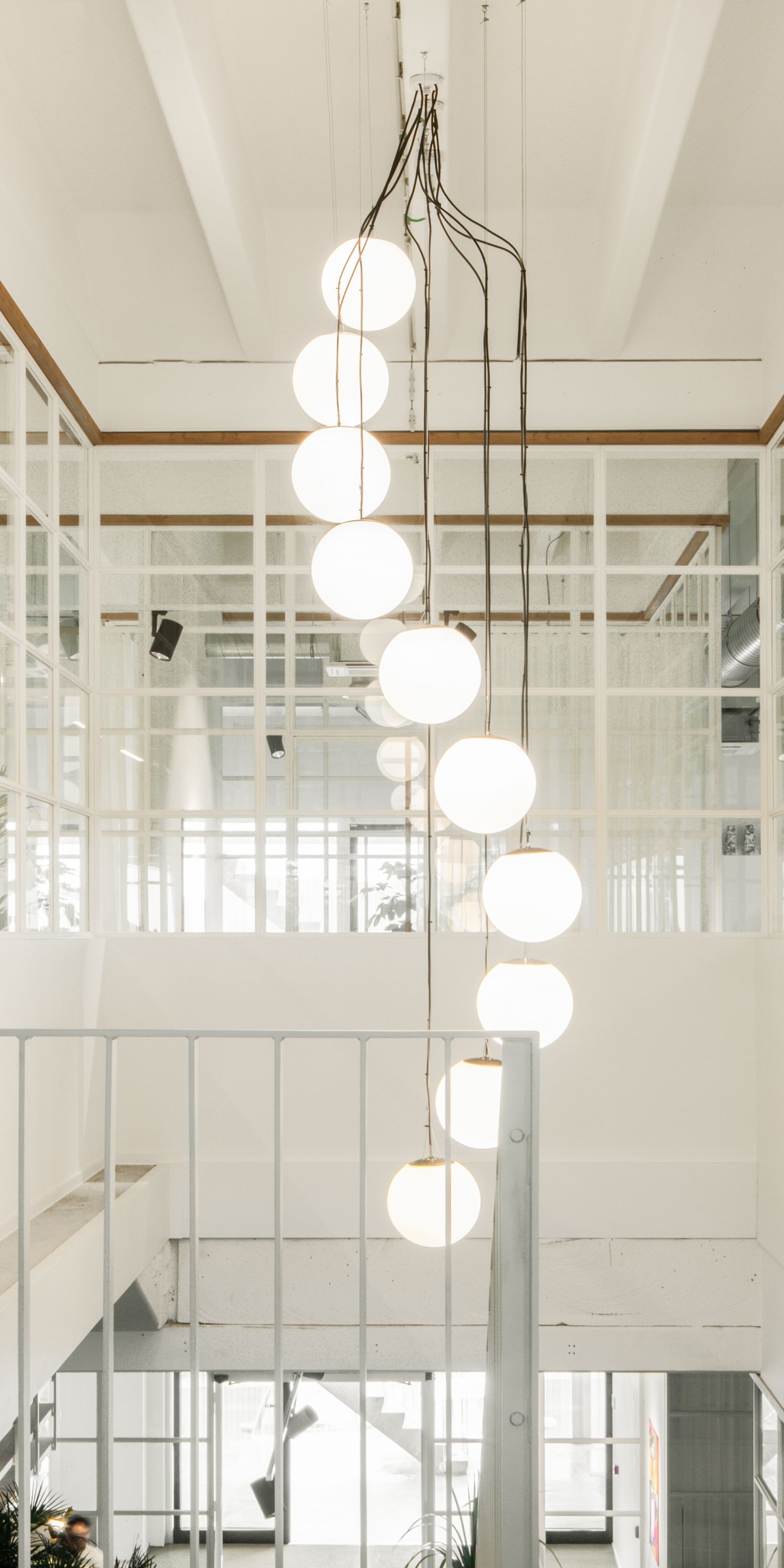 FOSBURY alfons jeroenverrecht 4462