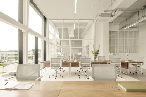 Workspaces at Fosbury and Sons Alfons - Coworking Brussels