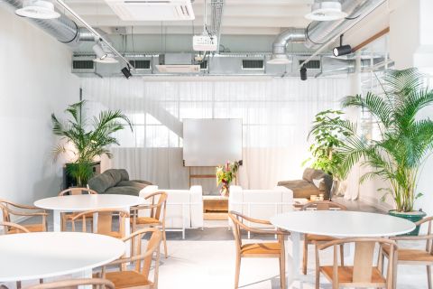 Have a meeting in a coworking in Brussels - Fosbury and Sons Alfons
