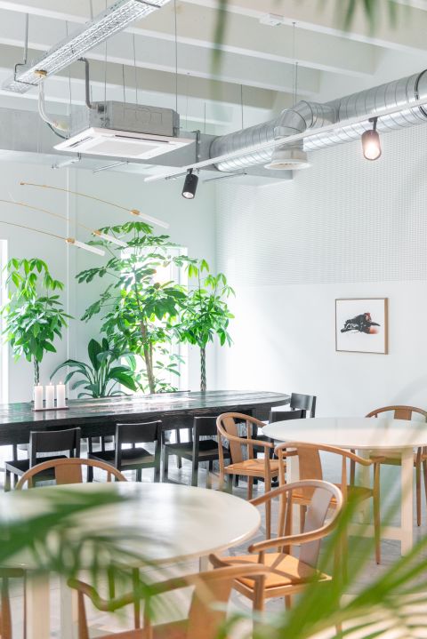 Coworking space in Brussels - Fosbury and Sons Alfons