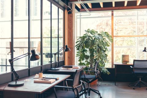 Private Office - Coworking Antwerp - Fosbury and Sons Harmony